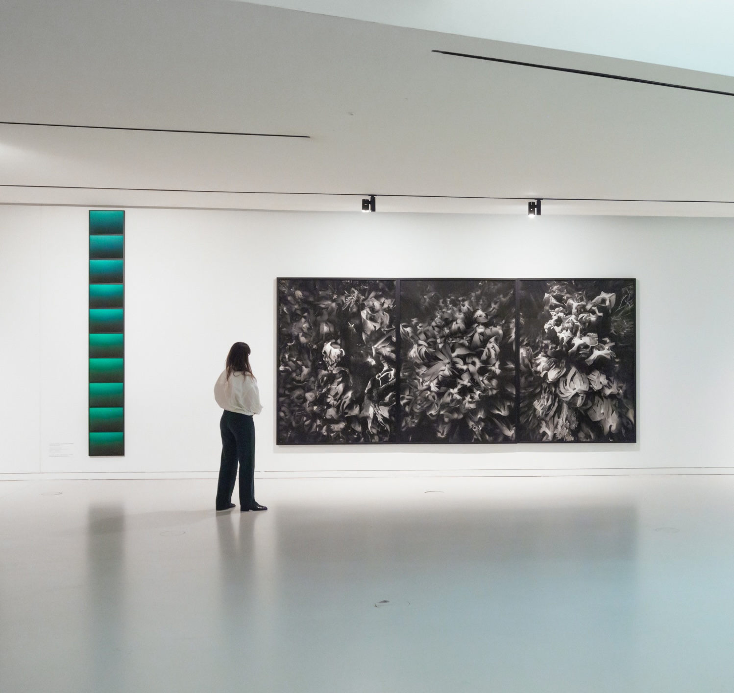 Solo exhibition view, Mar Aberto, MAAT Lisbon, 2024