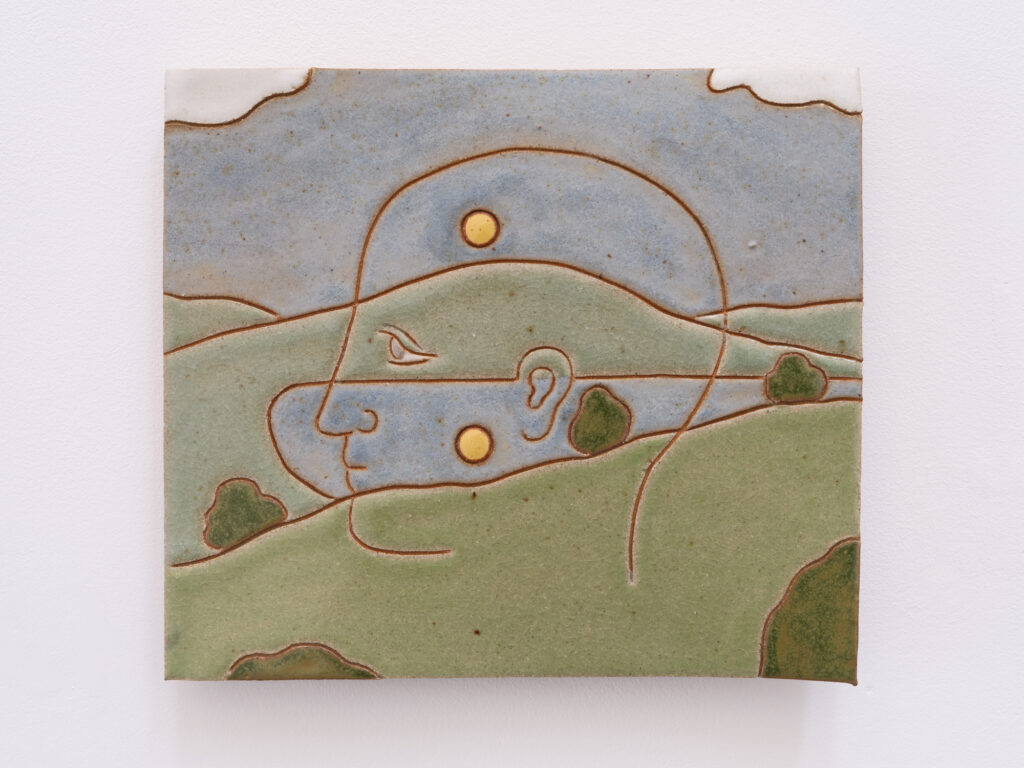 Landscape (Projection)