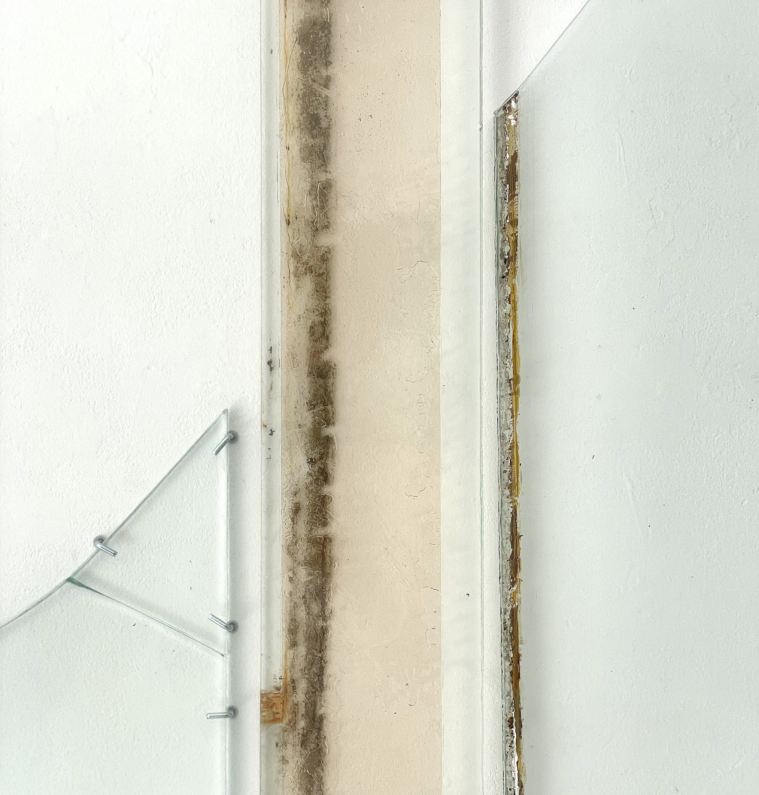 Anneke Eussen, Planning the past 01, 2025, car pane, recycled glass, coloured glass, metal hooks, mounted to the wall, 147 x 75 cm, unique