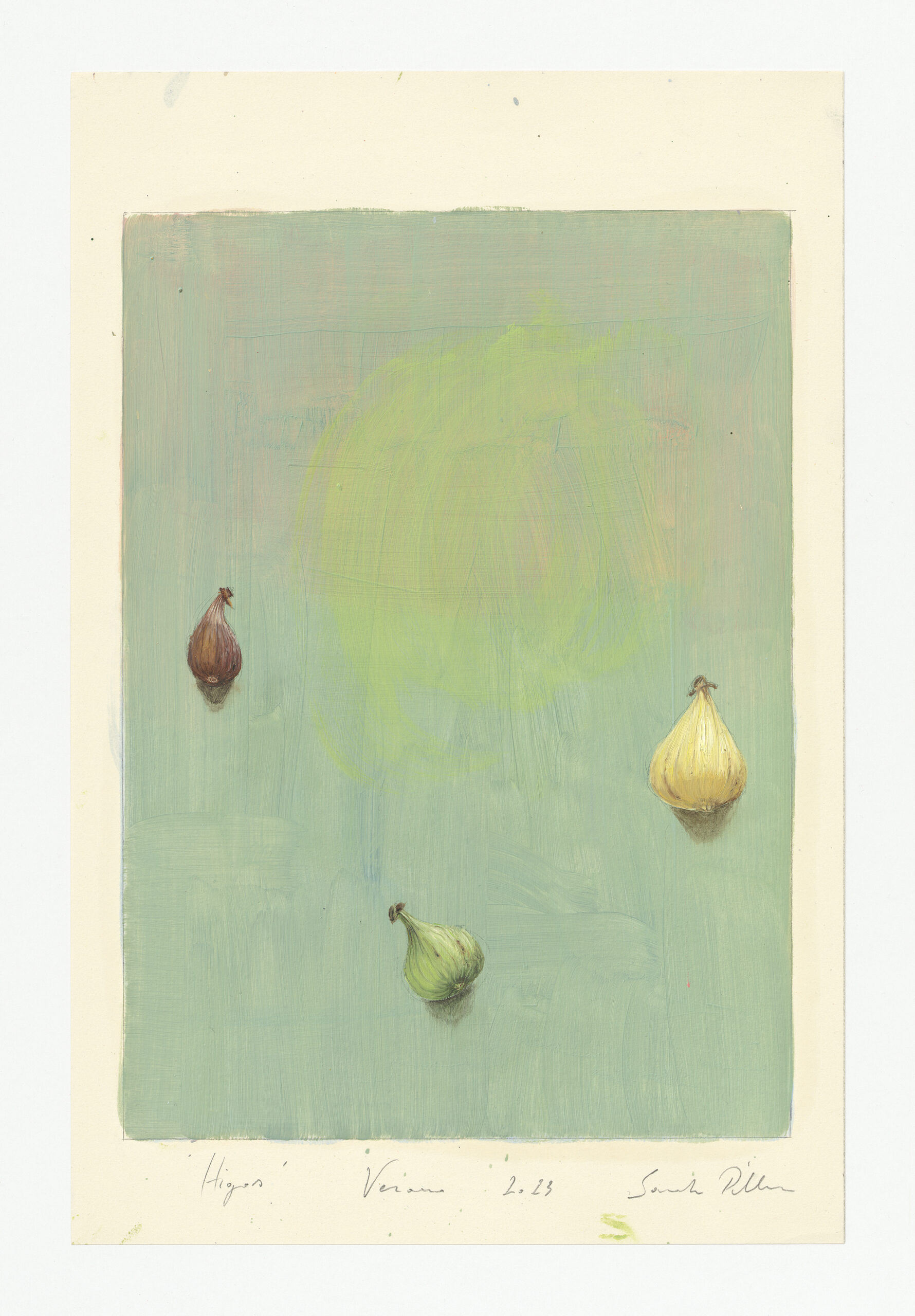 SP 4.23,Higos,2023,Oil on paper,33.5x22 cm
