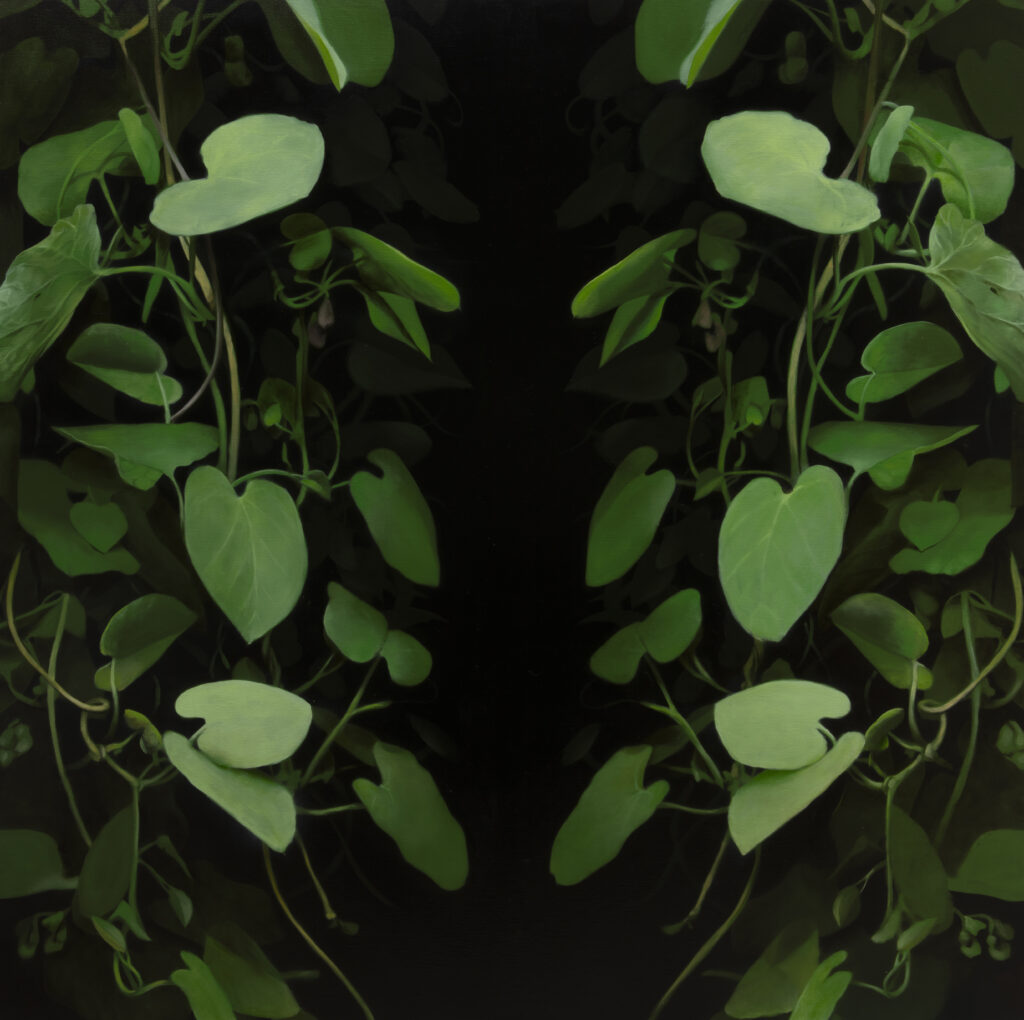The Passage (Pipe Vine)